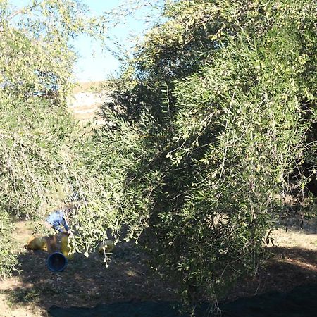 La Locanda Dei Fiori Bompensiere Zewnętrze zdjęcie