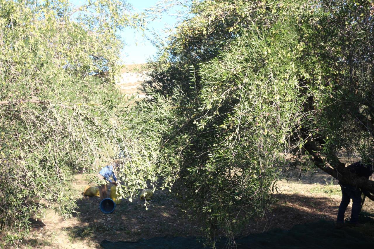 La Locanda Dei Fiori Bompensiere Zewnętrze zdjęcie